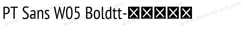 PT Sans W05 Boldtt字体转换